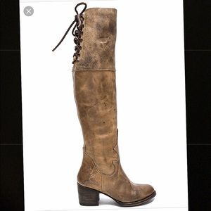 Freebird by Steven ROLLS